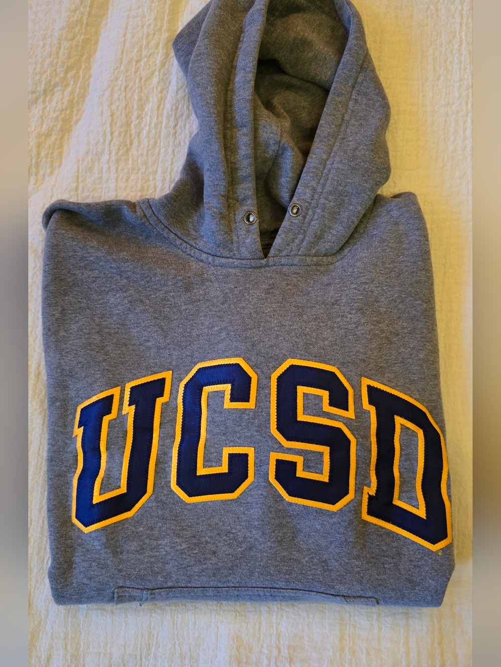 UCSD Patched Hoodie